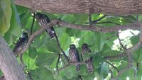 ガン見されました。 2016/07/20 12:10:44