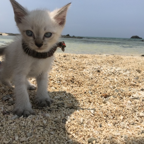 よろしくお願いしまーす❣️