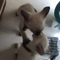 ラブラブ❣️