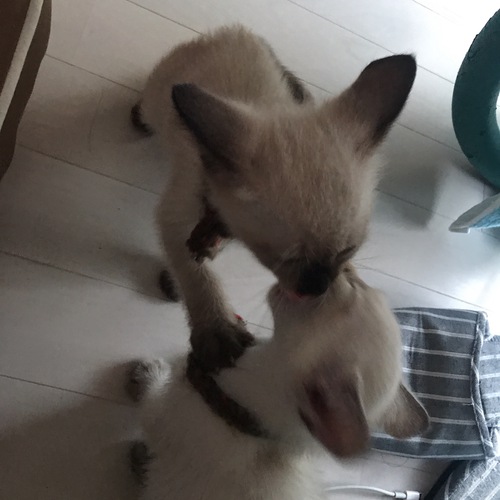 ラブラブ❣️
