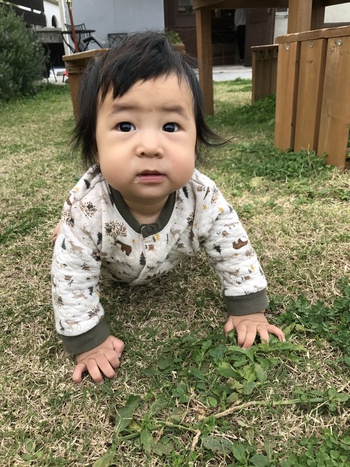 車内に石が増える理由
