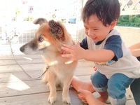 私の今の子どもたちへのベストは「一緒に住んでいる」です。 2018/09/18 13:19:14