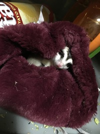 冬っぽく..... 2018/12/08 10:01:08
