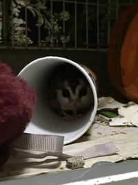 なんでー？？( ´･ω･` ) 2018/12/09 19:25:20
