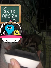 12月20日の記事 2018/12/20 21:39:49