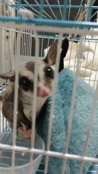 うぷぷ(´︶`艸)♡ 2018/12/11 22:54:02