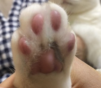 世界一癒される手相 ^ ^ 2023/08/30 15:37:21