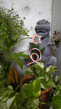 謹賀新年２００９