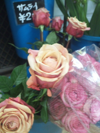 輸入バラ 2012/09/25 22:32:18