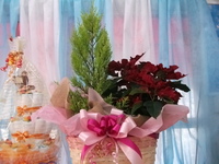 クリスマスのアレンジ