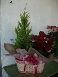 クリスマスのアレンジ