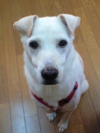 うんざり～　（－＿－）ヽヽ 2011/08/08 10:18:15