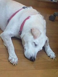 今日の僕 2011/09/26 16:35:05