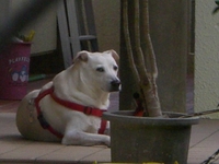 しぶいか？ 2011/02/22 17:02:03