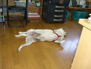 おはようございます