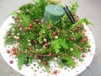 クリスマスの演出に☆