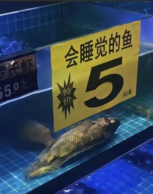 おもろいネタで中国語学習