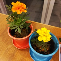 ２０２４、３月 2024/03/10 08:00:00