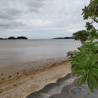 ２０２４、６月 2024/06/10 08:00:00