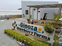 4/17(火)~20(金) 2018/04/16 13:21:25