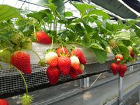 4/1(日) 2018/03/31 12:21:53