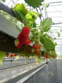 3月29日の記事 2018/03/29 22:14:20