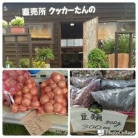 野菜 2016/09/12 21:17:43