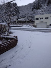 雪 2018/12/07 15:13:19