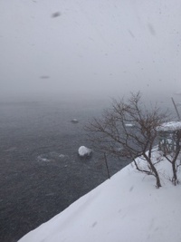 只今　吹雪中 2019/01/31 08:59:13