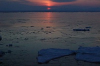 流氷だよー 2019/02/24 10:42:29