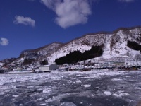 羅臼港 2019/02/28 10:00:08