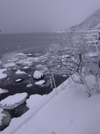 雪 2019/03/12 08:32:05