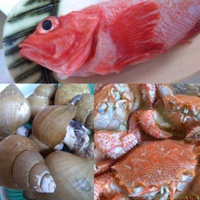 新鮮魚介類 2019/04/19 20:23:48