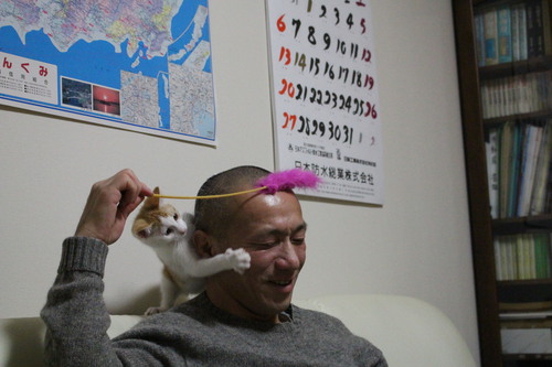 子猫の子
