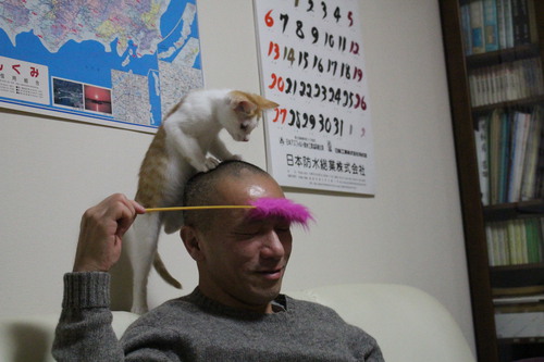子猫の子