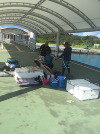 黒島遠征