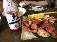 母校に行ってきた☆ 2015/12/05 17:24:41