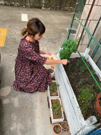 バナナと農園とピザ屋さん 2019/06/03 14:24:50