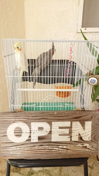 クッキータイム★。* 2018/10/10 11:09:43
