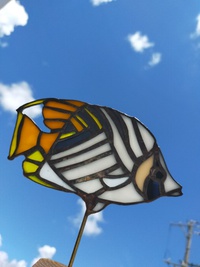 　うちの作り手　魚好き？ 2024/07/25 19:48:57