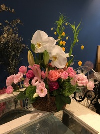 胡蝶蘭… 2017/07/19 15:07:11