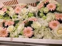 婚礼準備… 2017/07/28 18:46:01