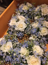 卓上花… 2017/07/06 19:37:58