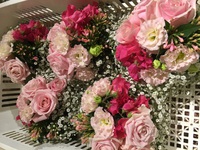 婚礼準備… 2017/01/27 19:38:20