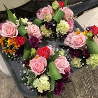 卓上花… 2017/02/09 18:17:17