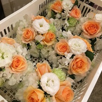 婚礼準備… 2017/02/24 20:43:19