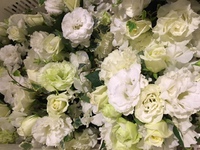 婚礼準備… 2017/02/10 19:21:31