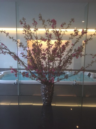 八重桜…