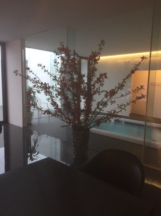 八重桜…