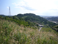 聖域に君臨した按司4　大城グスク